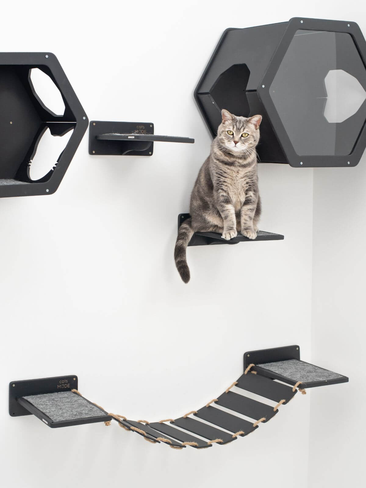 Small Cat House