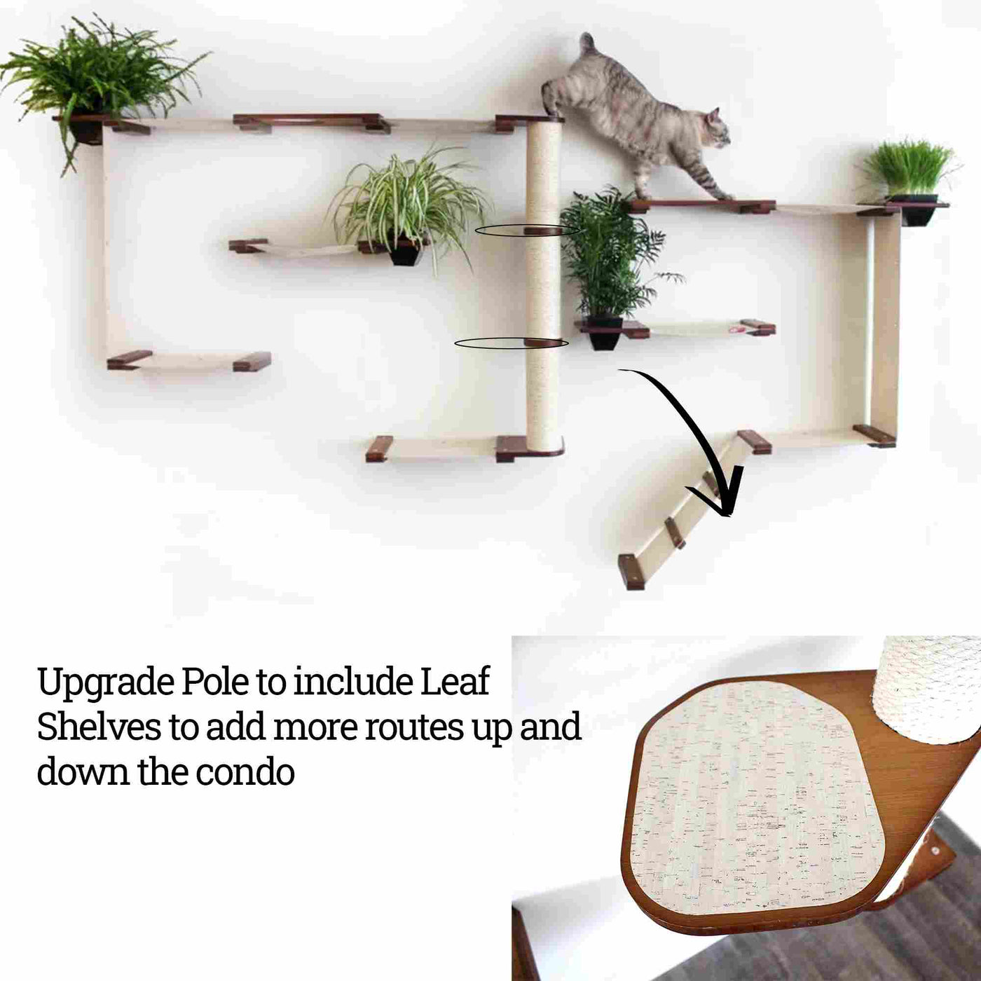 Large wall mounted bamboo cat condo with many canvas hammocks, four planters, and a central sisal pole