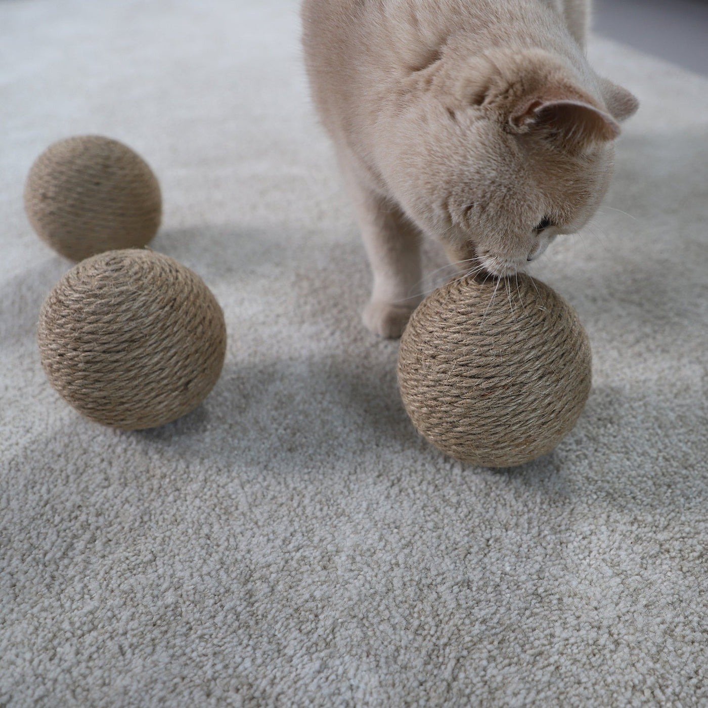 Globes Cat Toy
