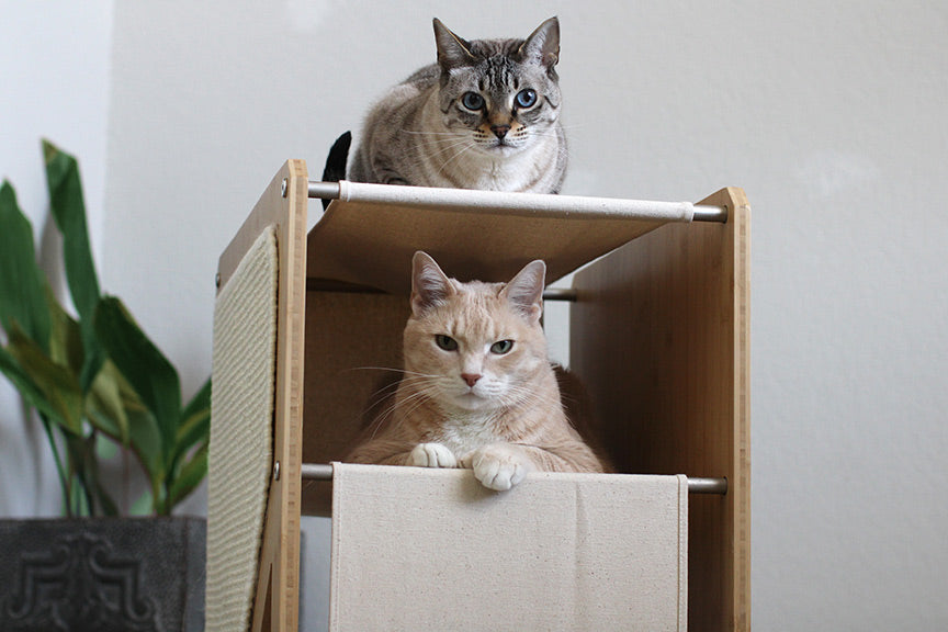 The Grotto - Short Cat Tree for Small Spaces