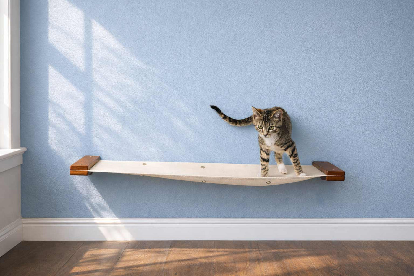 Wall mounted cat hammock in heavyweight canvas slung between two bamboo mounting planks