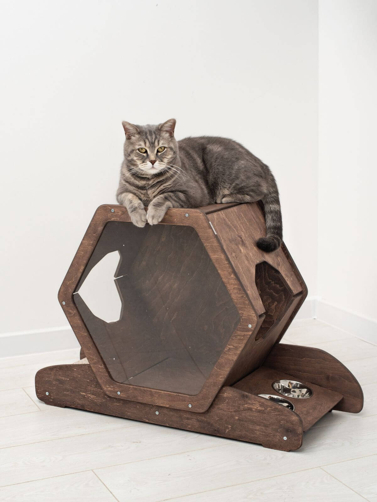 Small Cat House