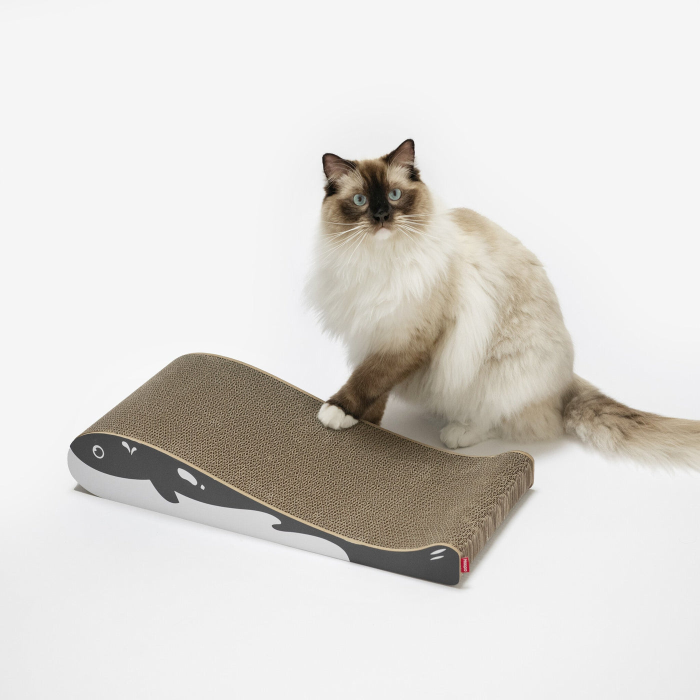Wally Cat Scratcher