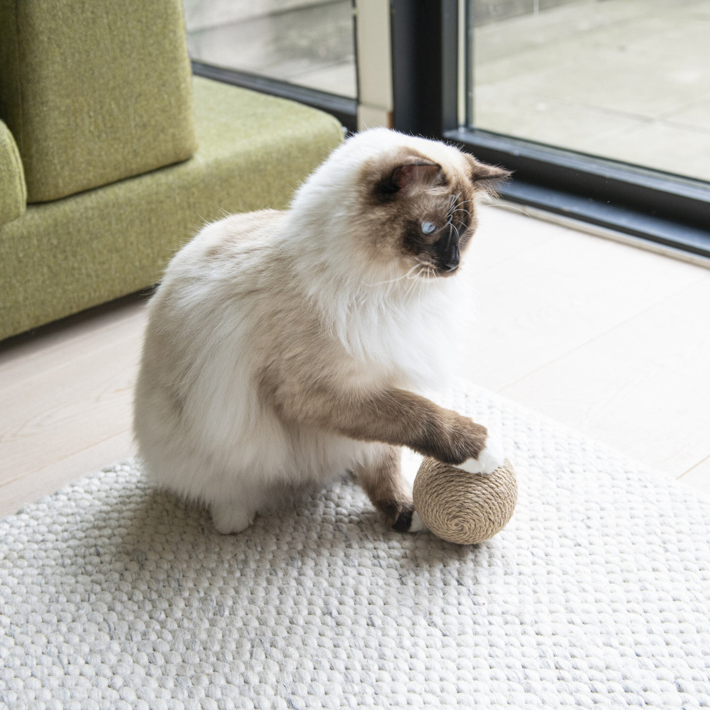 Globes Cat Toy