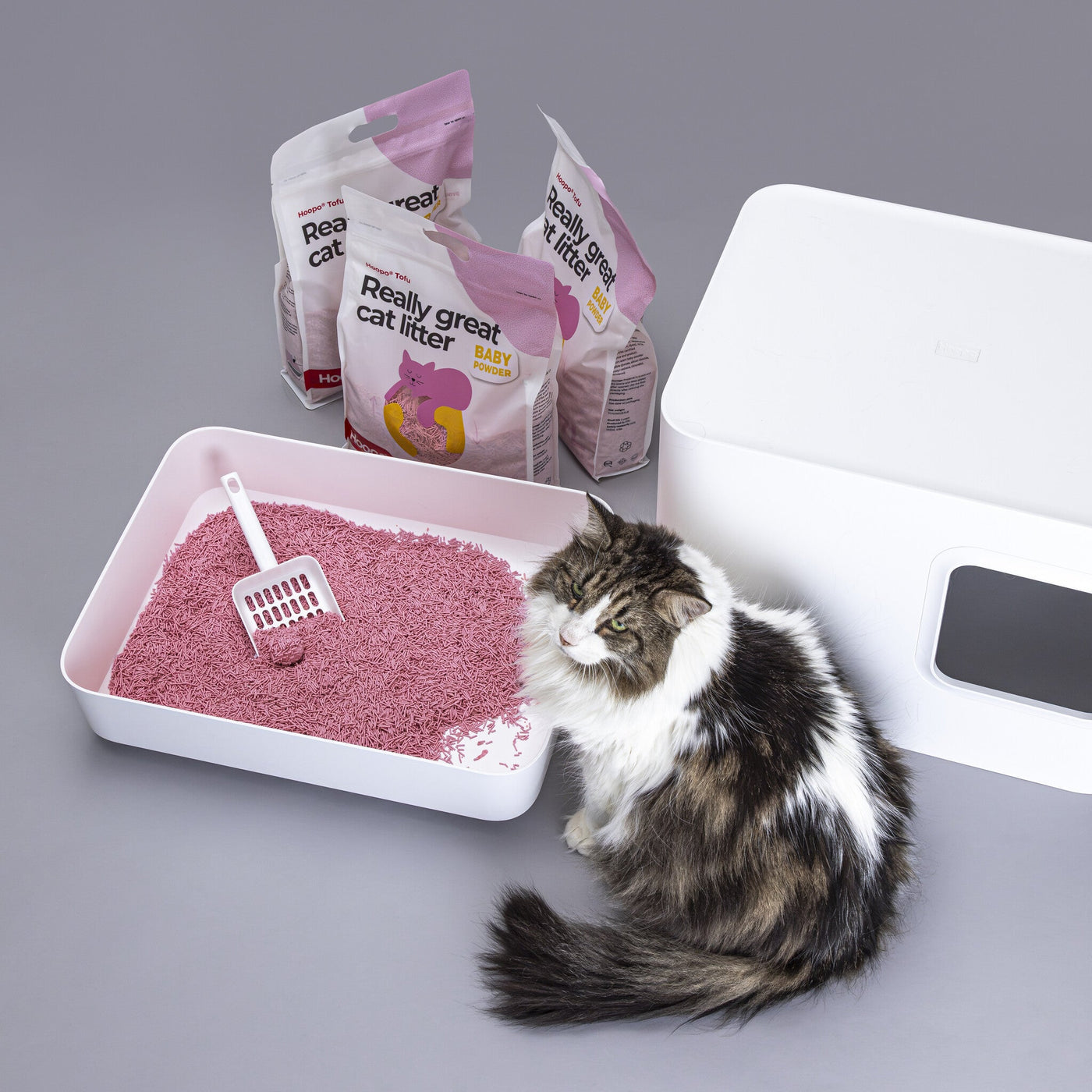Tofu Baby Powder Cat Litter