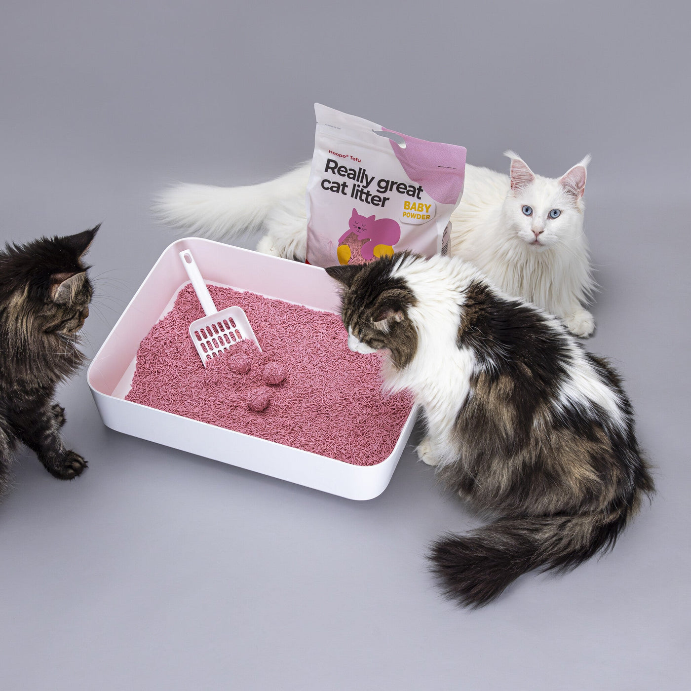 Tofu Baby Powder Cat Litter