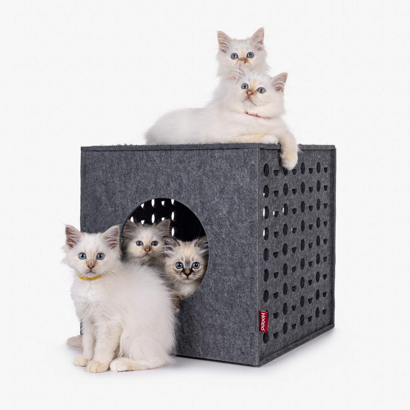 Cube Cat House