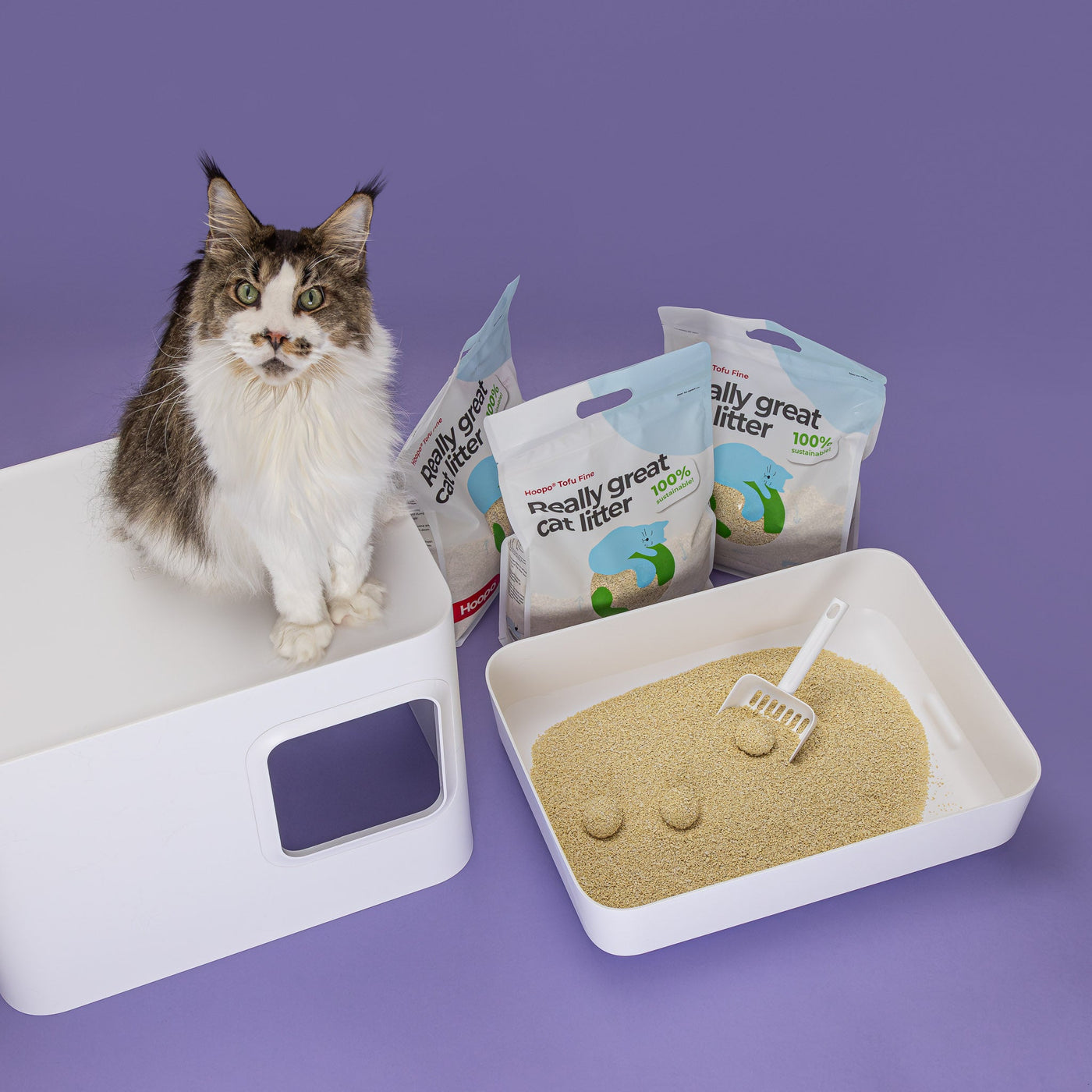 Tofu Fine Cat Litter
