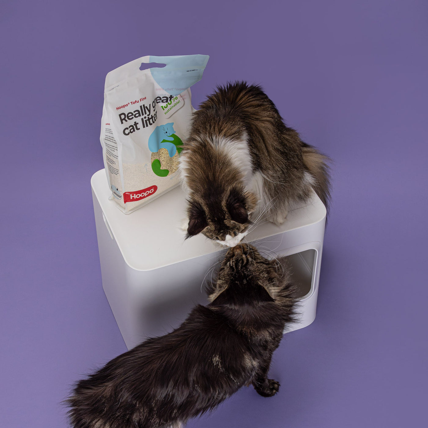 Tofu Fine Cat Litter
