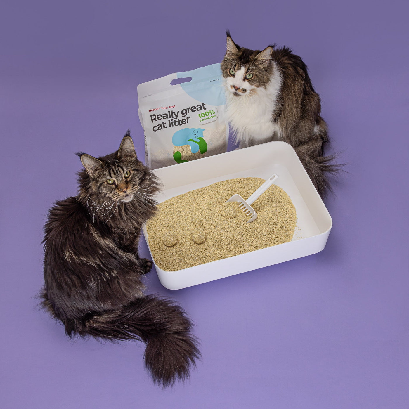 Tofu Fine Cat Litter