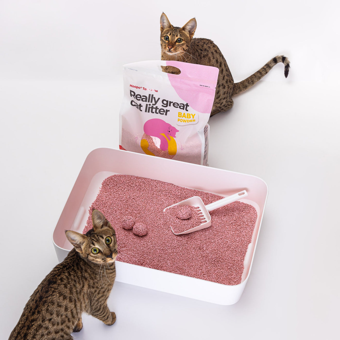 Tofu Fine Baby Powder Cat Litter