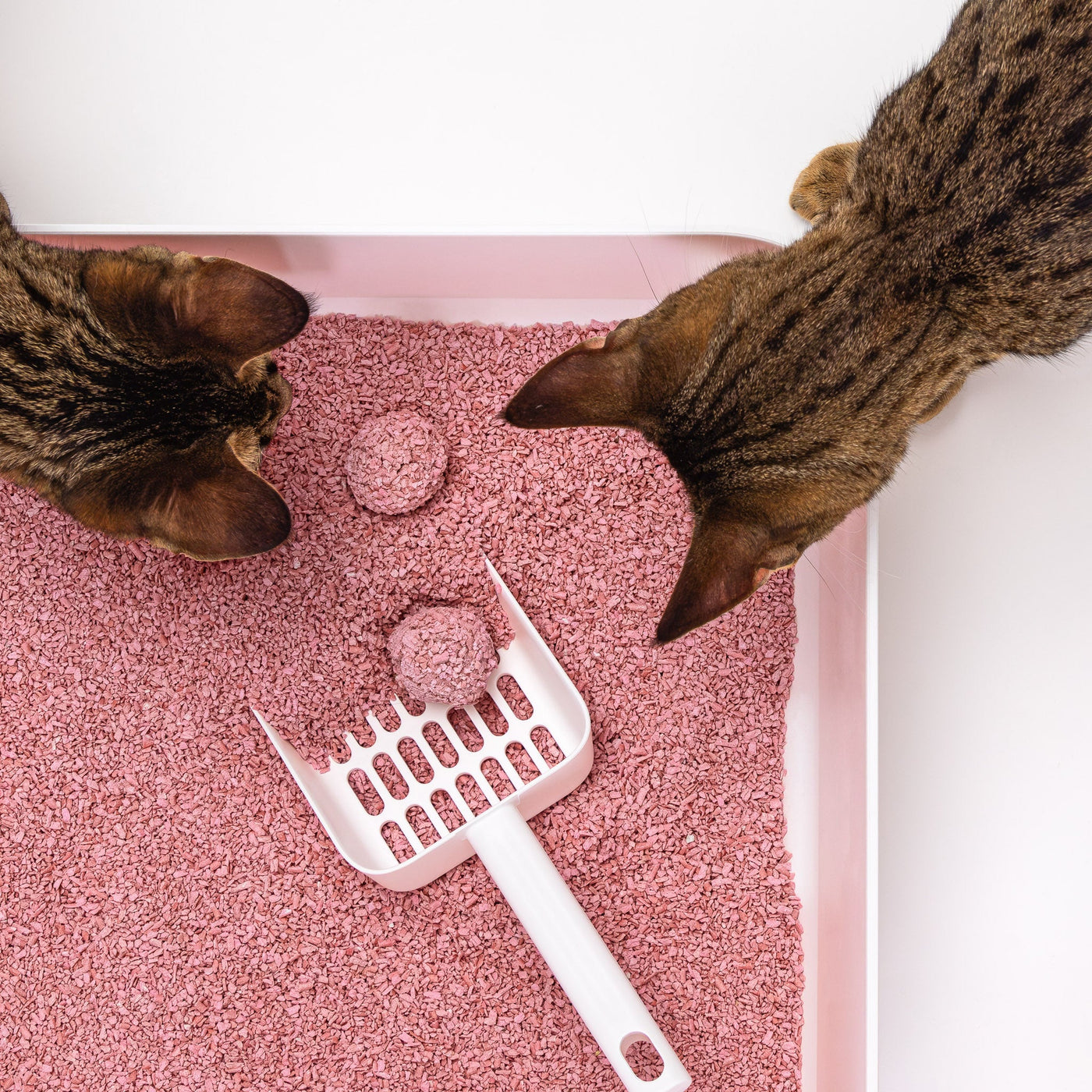 Tofu Fine Baby Powder Cat Litter