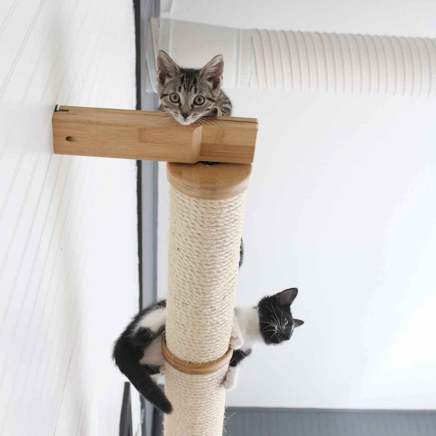 Horizontal Scratching Post