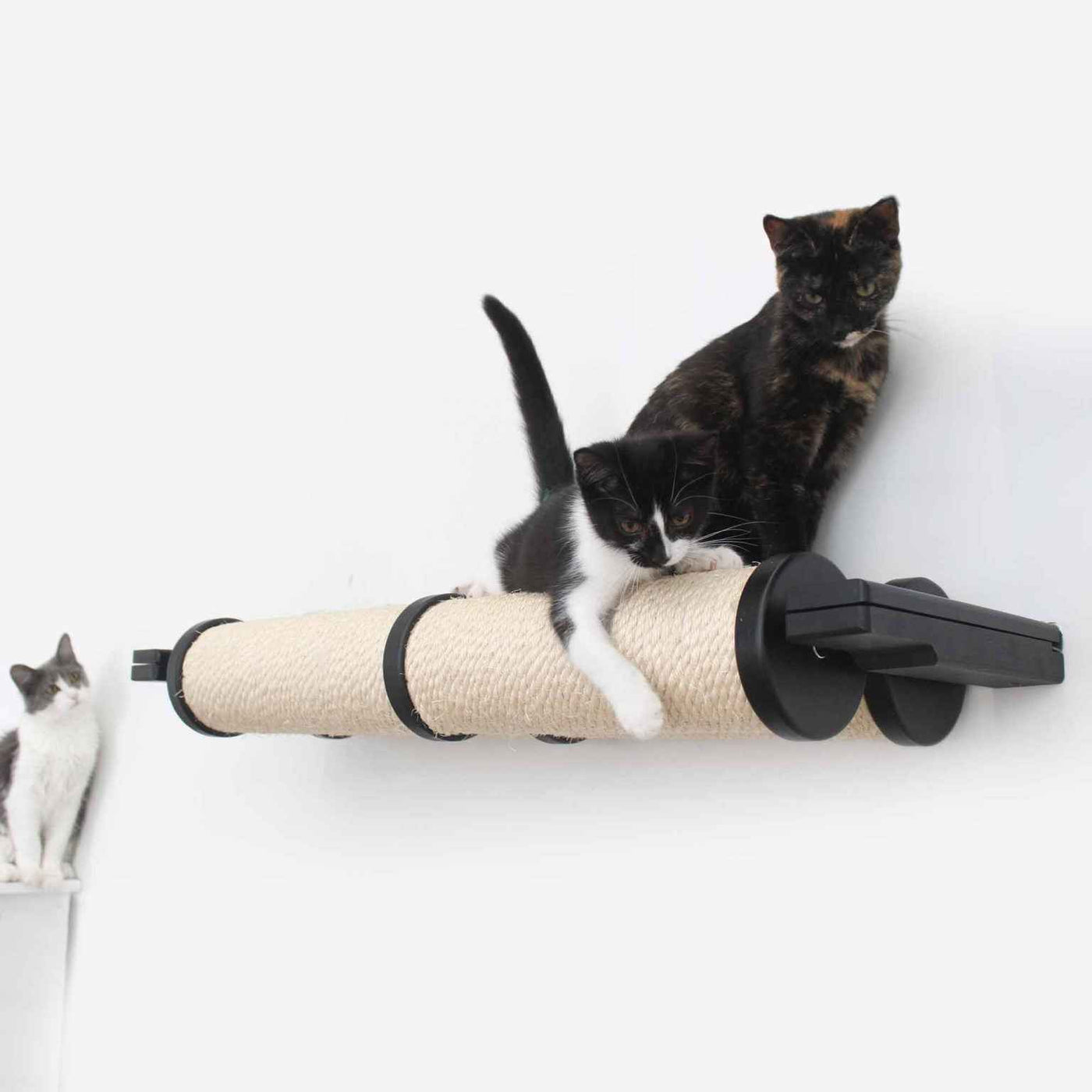 Horizontal Scratching Post