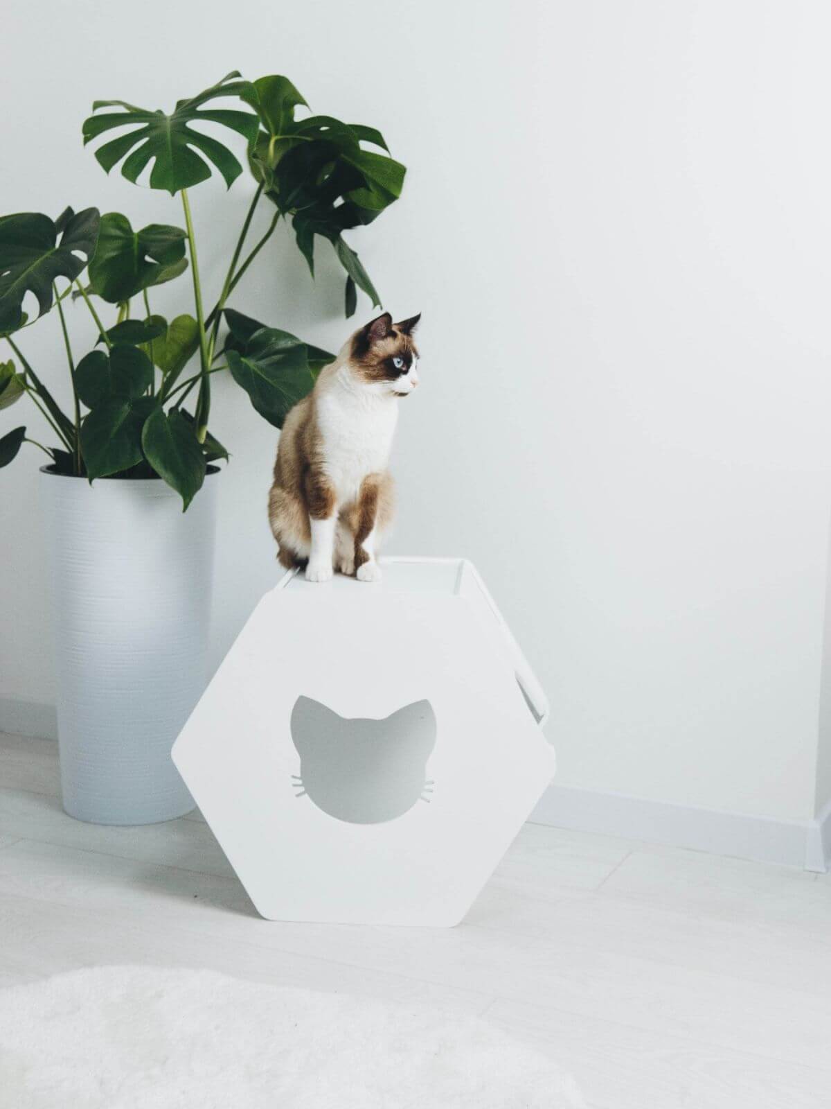 Hexagon Cat House White