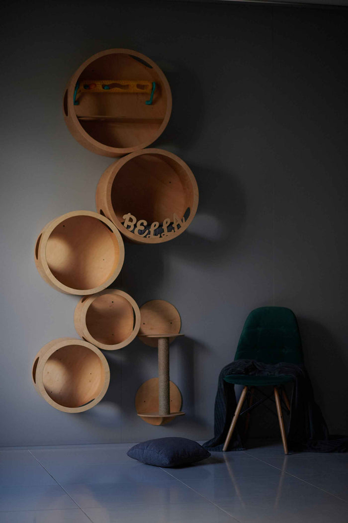 Complete Cat Wall Furniture Set