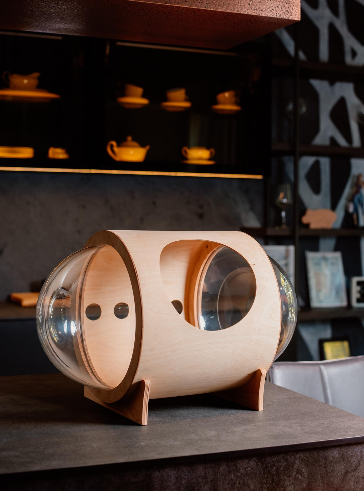Cosmo Cat House with Acrylic Domes, Cats Joys