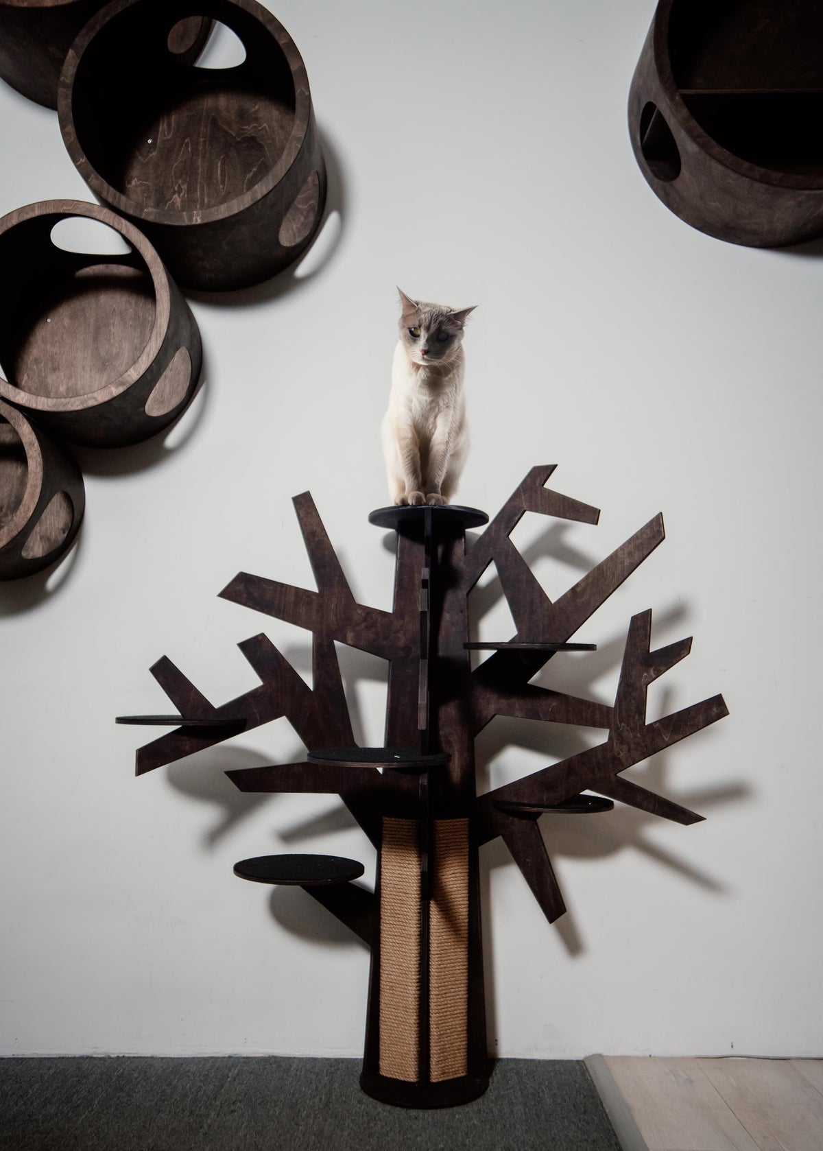 Modern Wooden Cat Tree, Cats Joys