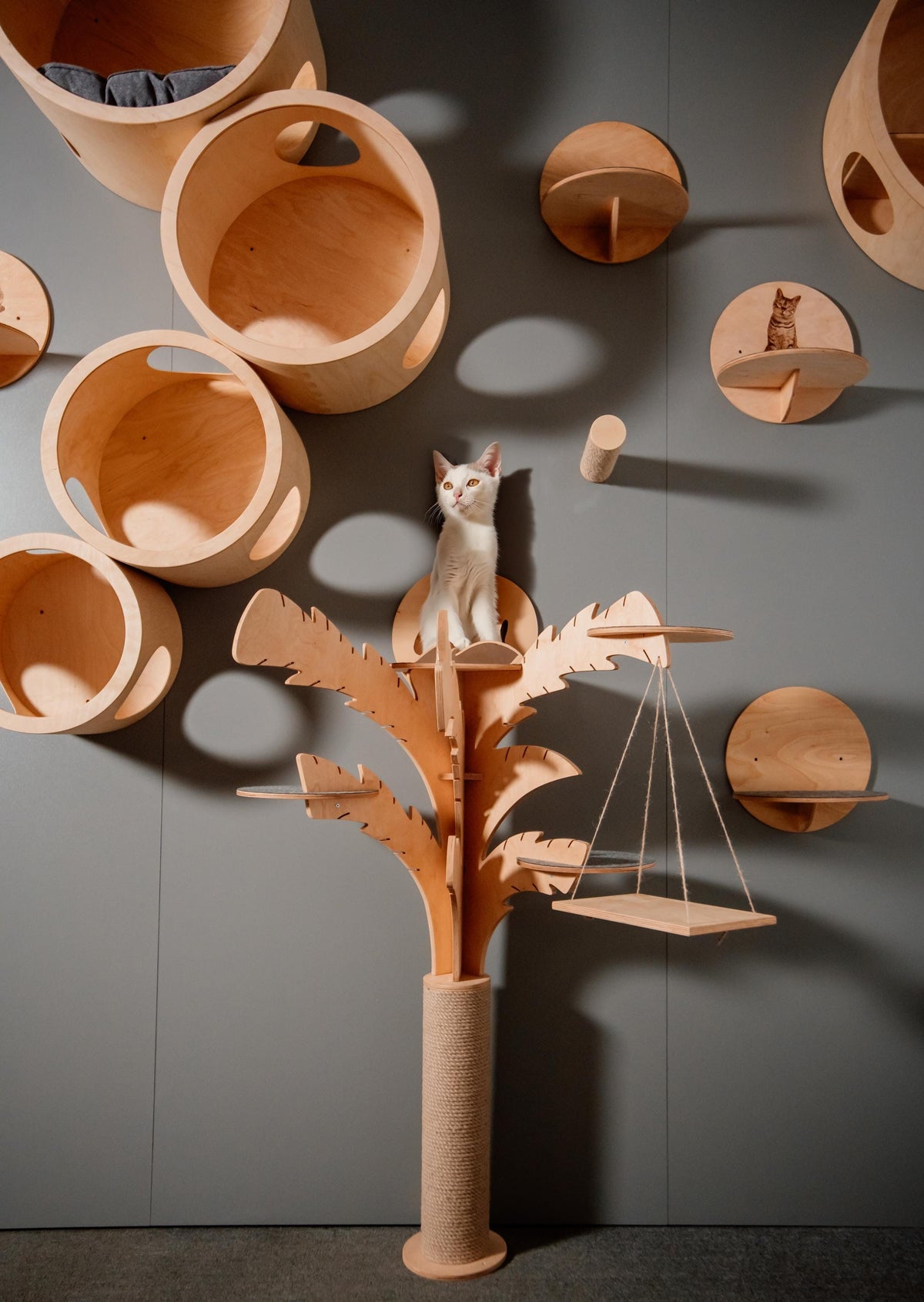 Modern Palm Tree Cat Tree, Cats Joys