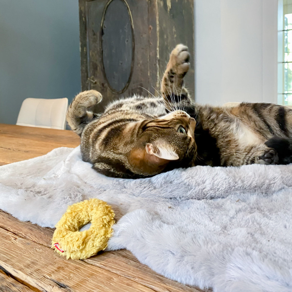 Mini Donuts Cat Toy