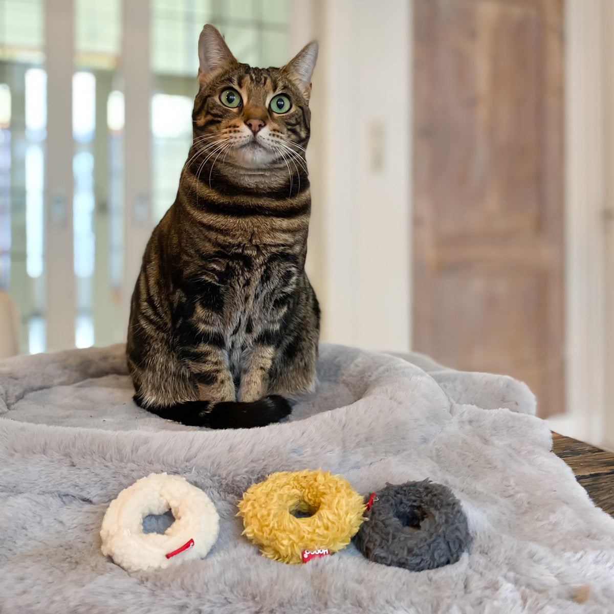 Mini Donuts Cat Toy