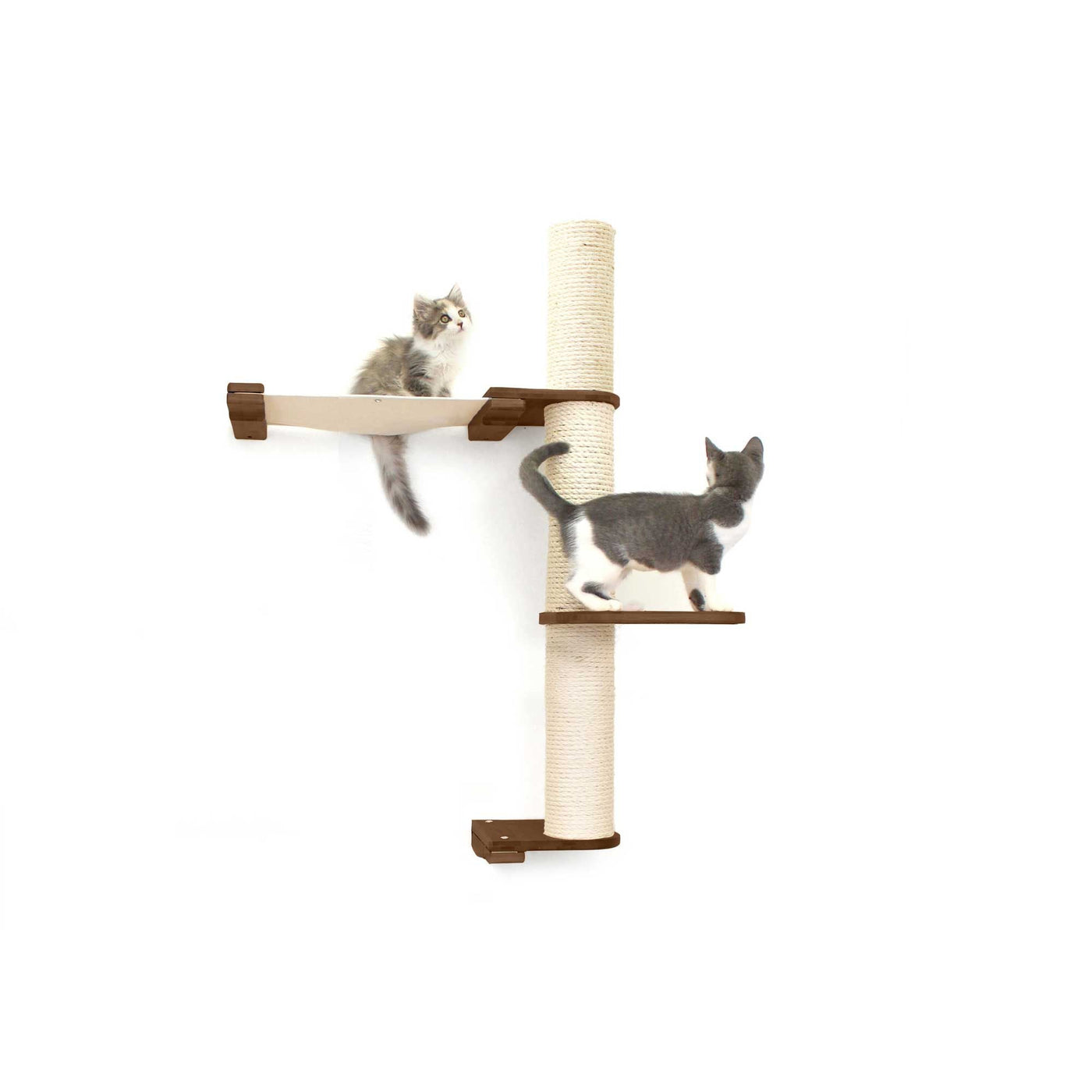 Tall wall mounted cat scratcher tree with a sisal pole installed high near the ceiling