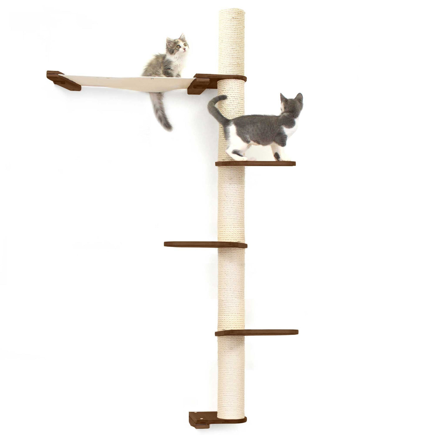 Tall wall mounted cat scratcher tree with a sisal pole installed high near the ceiling