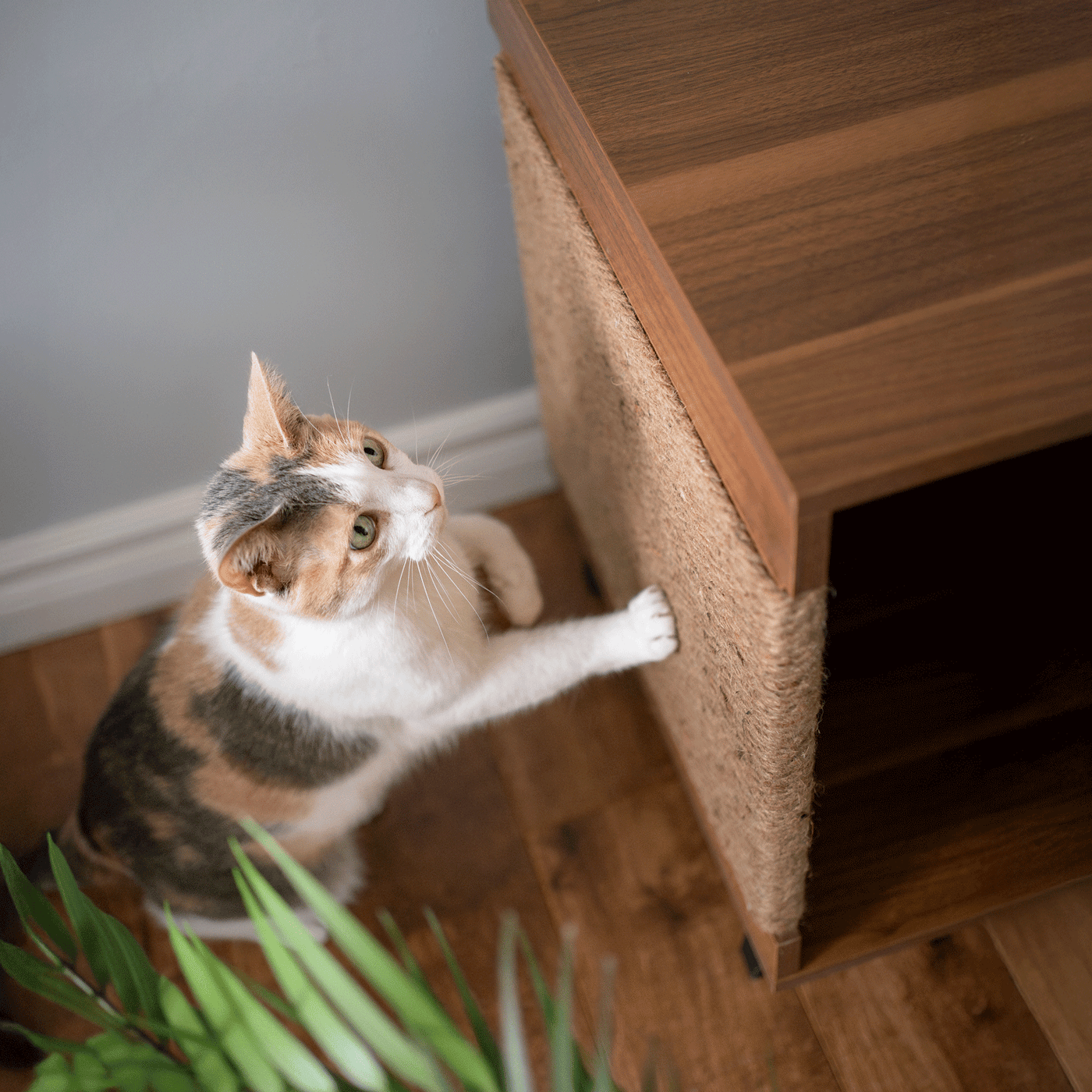 Jessie Cat Litter Cabinet by 4Cats & Dogs, view 6