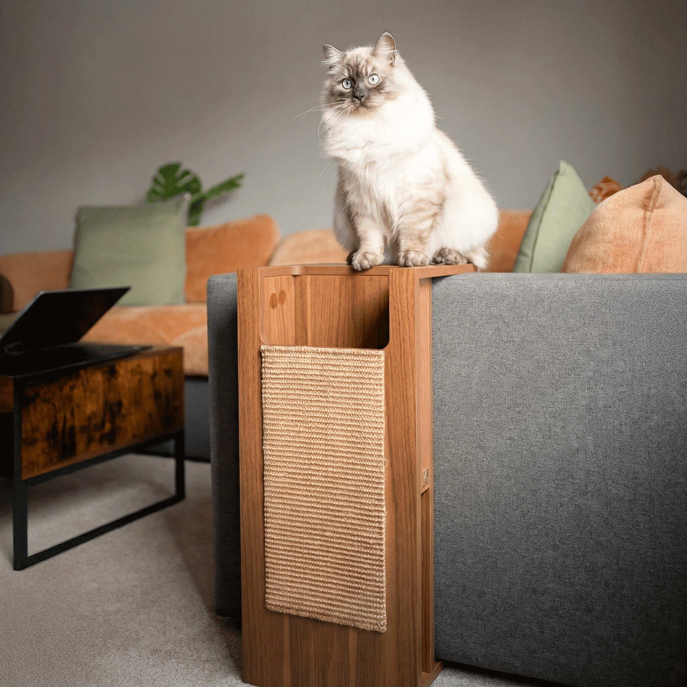 Jewl Cat Scratcher Side Table by 4Cats & Dogs, view 8