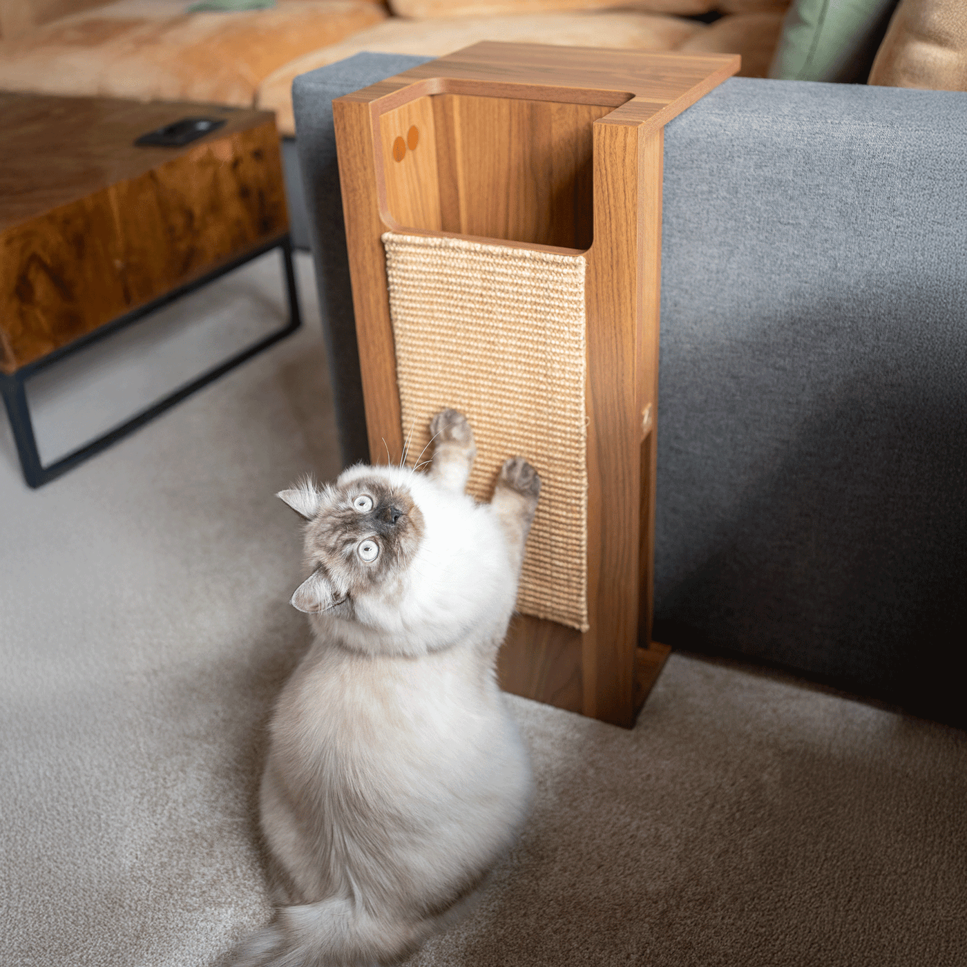 Jewl Cat Scratcher Side Table by 4Cats & Dogs, view 7