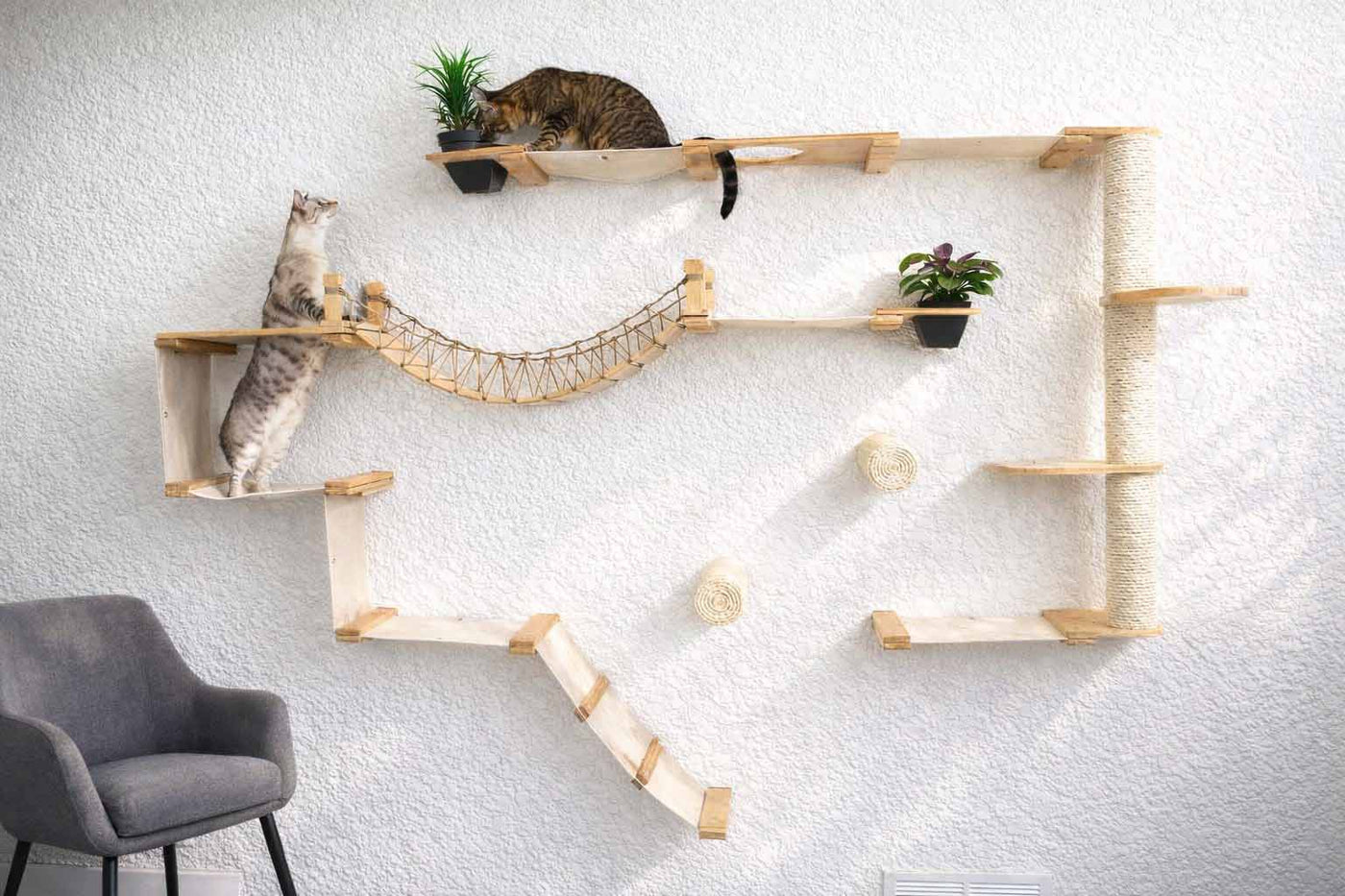 Large wall mounted cat condo packed with hammocks, a sisal pole, floating posts, a bridge, and a planter shelf