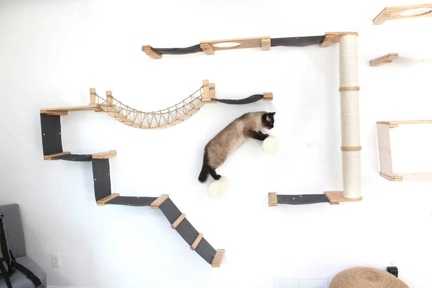 Large wall mounted cat condo packed with hammocks, a sisal pole, floating posts, a bridge, and a planter shelf