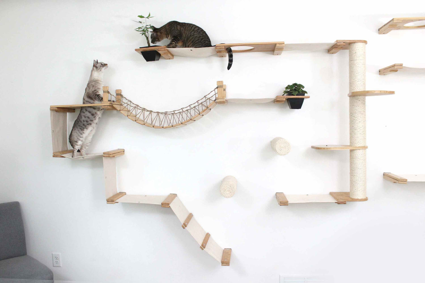 Large wall mounted cat condo packed with hammocks, a sisal pole, floating posts, a bridge, and a planter shelf