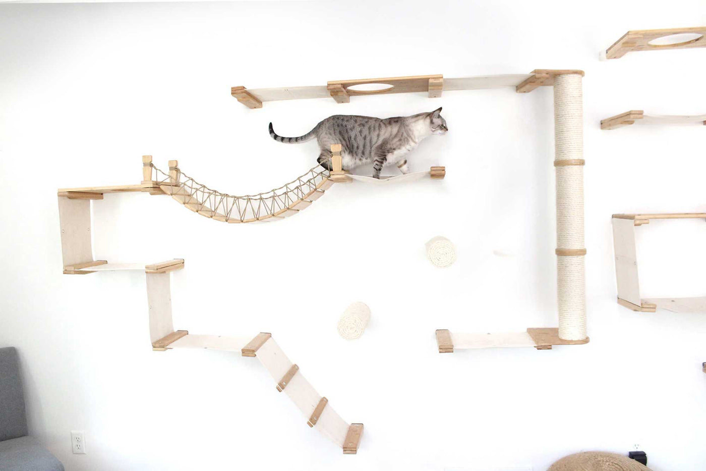 Large wall mounted cat condo packed with hammocks, a sisal pole, floating posts, a bridge, and a planter shelf
