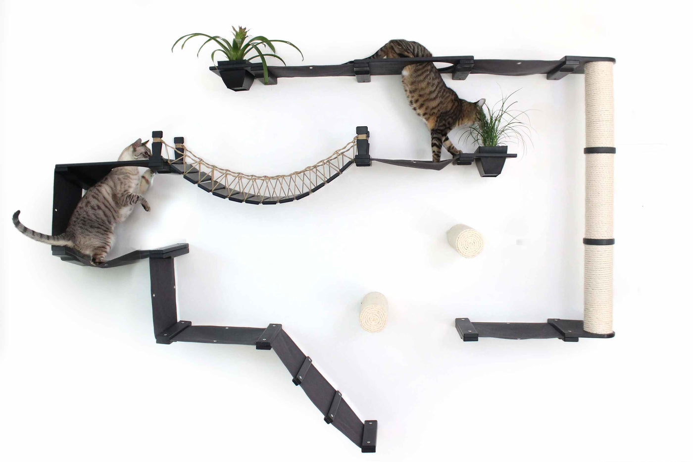 Large wall mounted cat condo packed with hammocks, a sisal pole, floating posts, a bridge, and a planter shelf