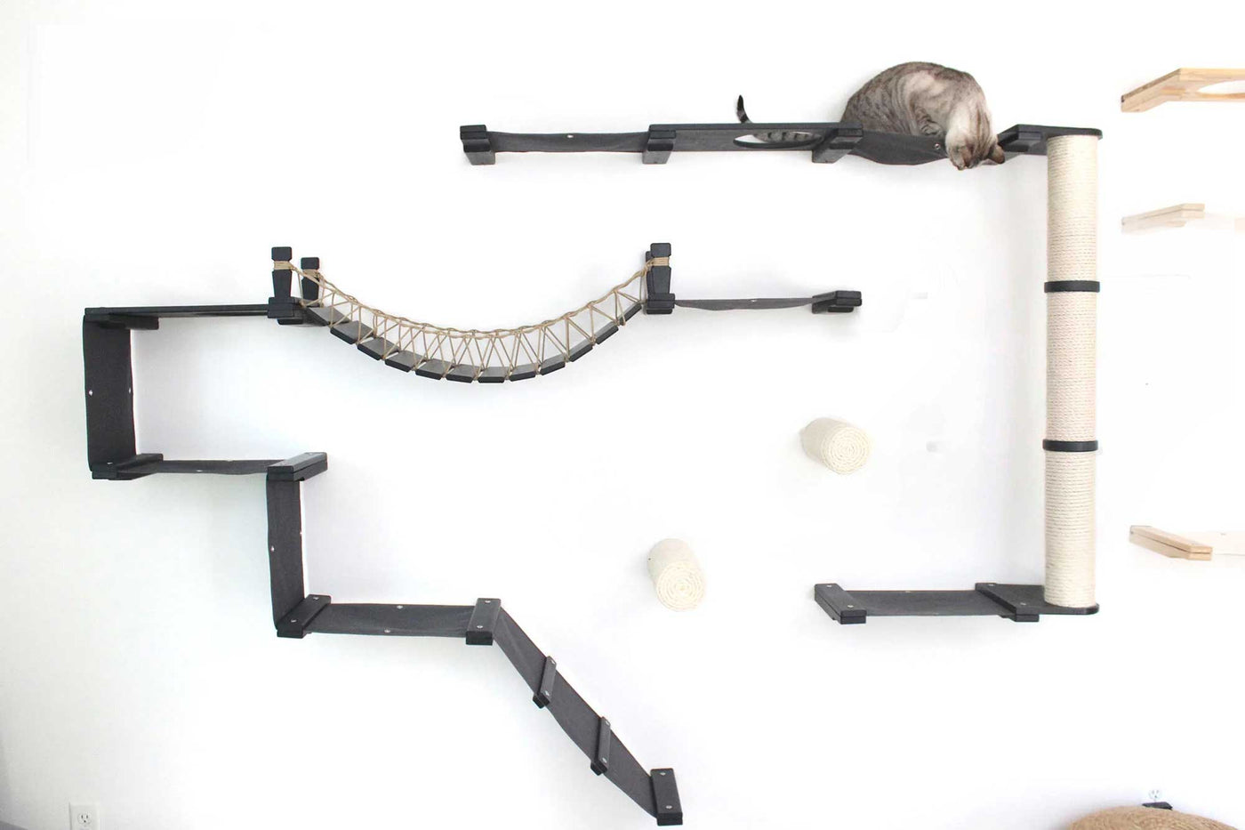 Large wall mounted cat condo packed with hammocks, a sisal pole, floating posts, a bridge, and a planter shelf