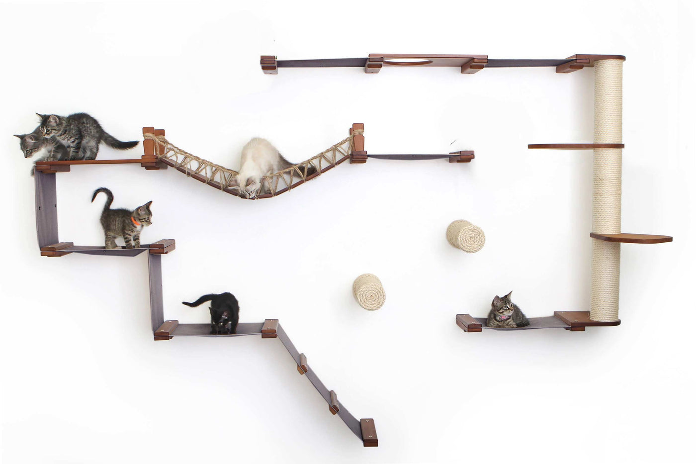 Large wall mounted cat condo packed with hammocks, a sisal pole, floating posts, a bridge, and a planter shelf