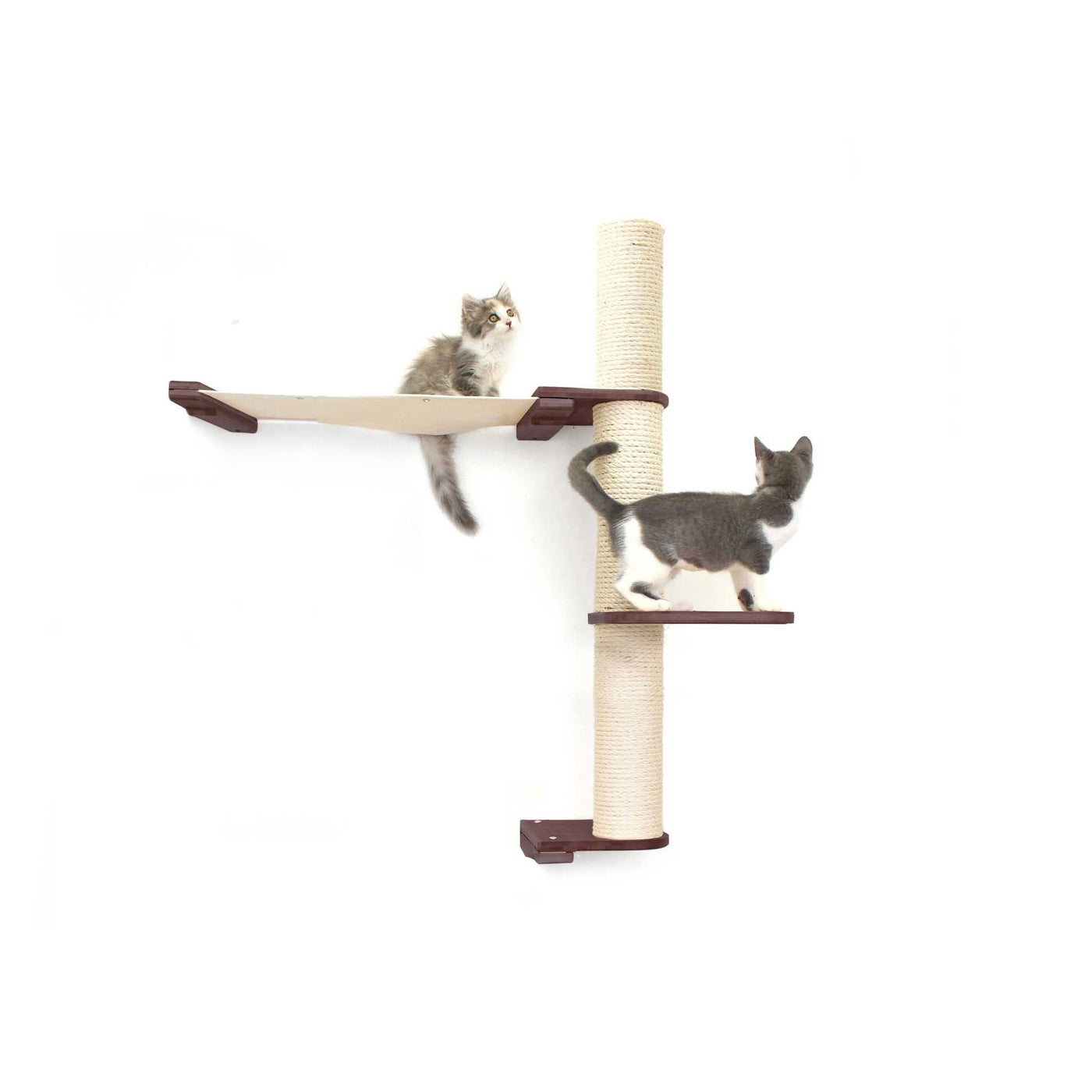 Tall wall mounted cat scratcher tree with a sisal pole installed high near the ceiling