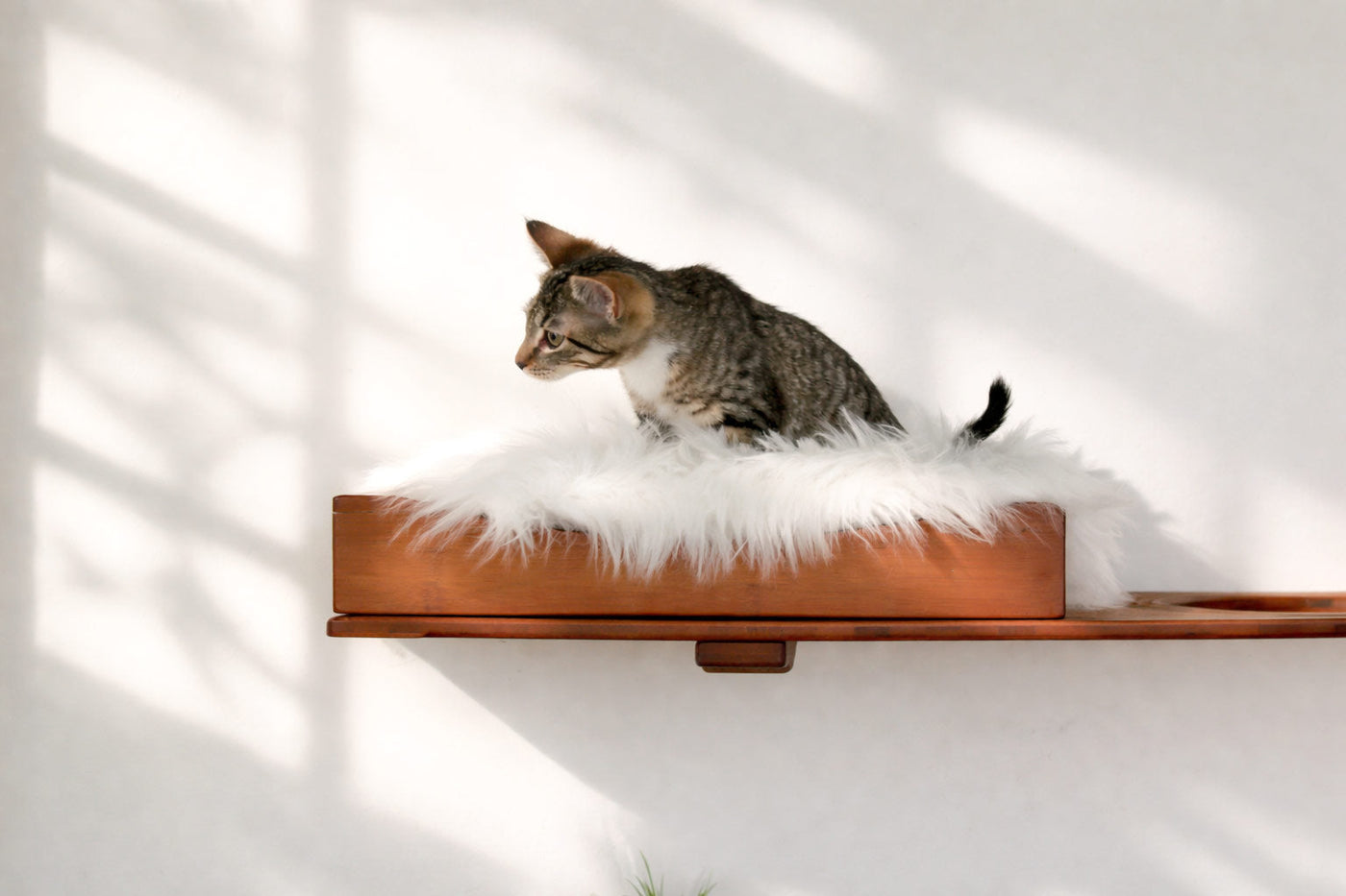 The Cat Nest Bed