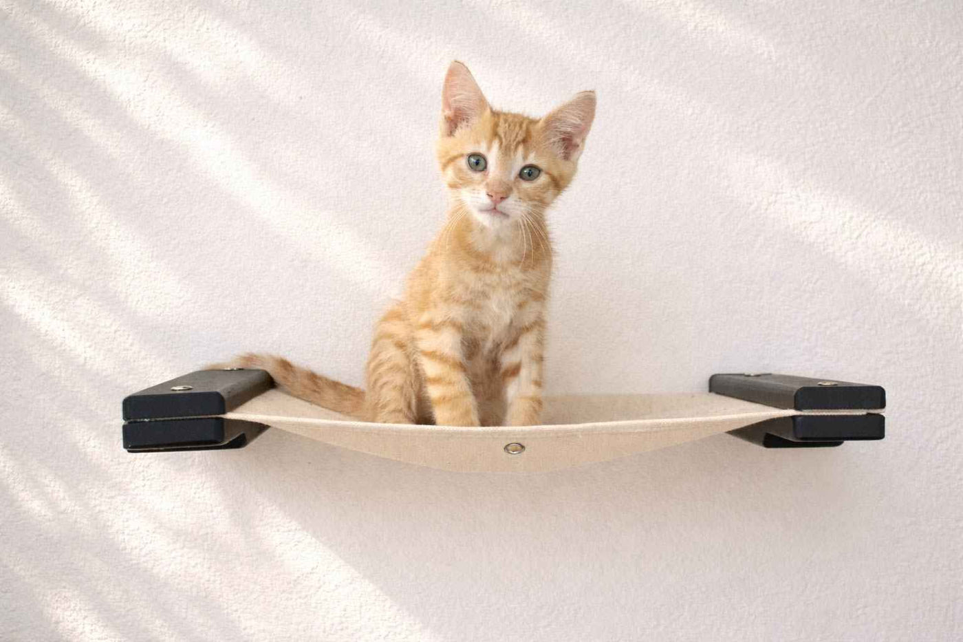 Hanging Cat Bed Hammock