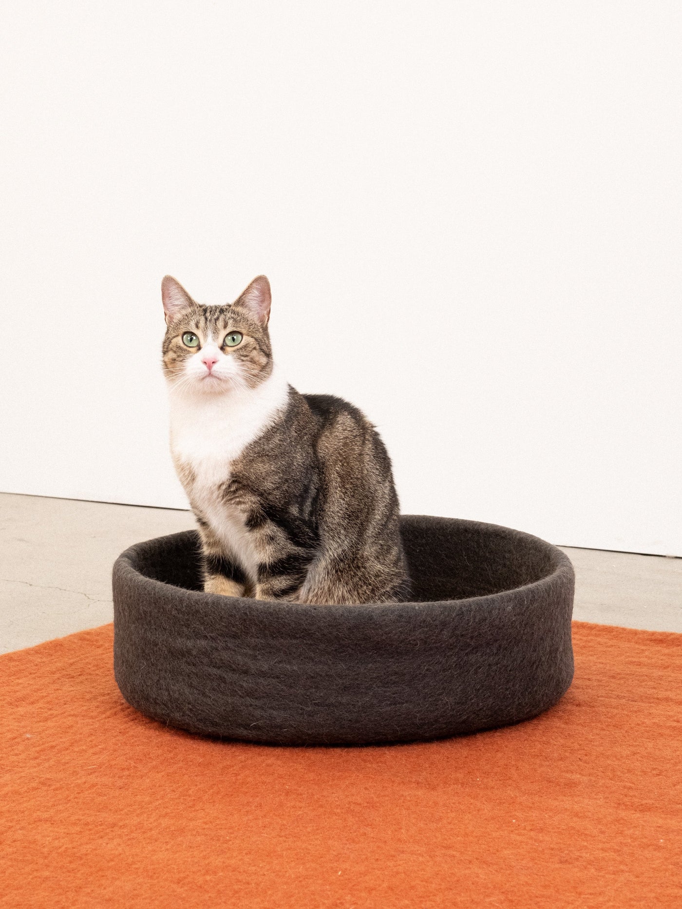 Myfelt Cat Basket