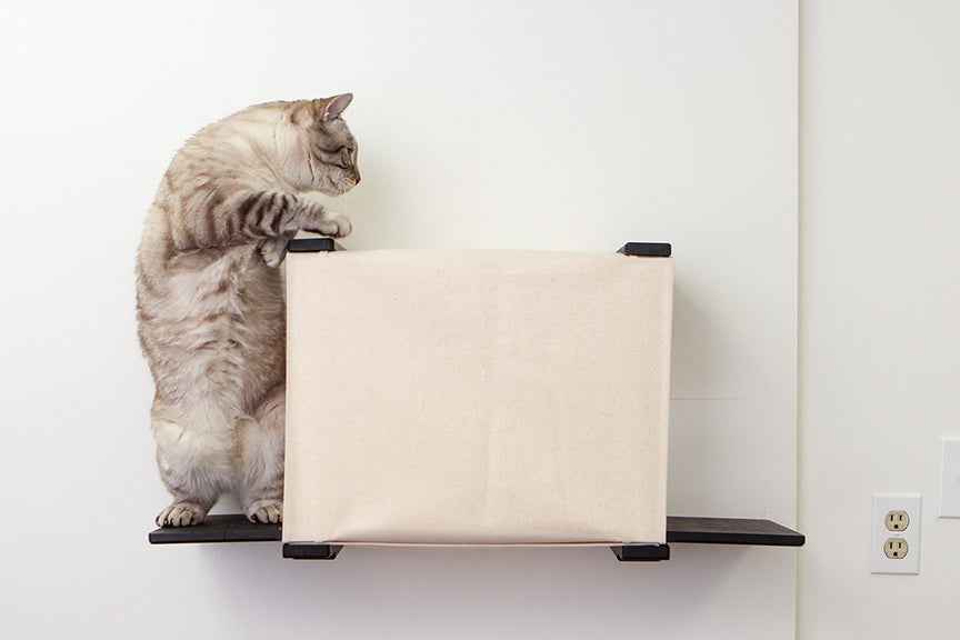 Cat Cubby for Wall