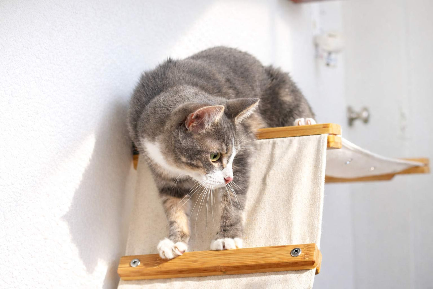 The Lift- Cat Hammock Bed