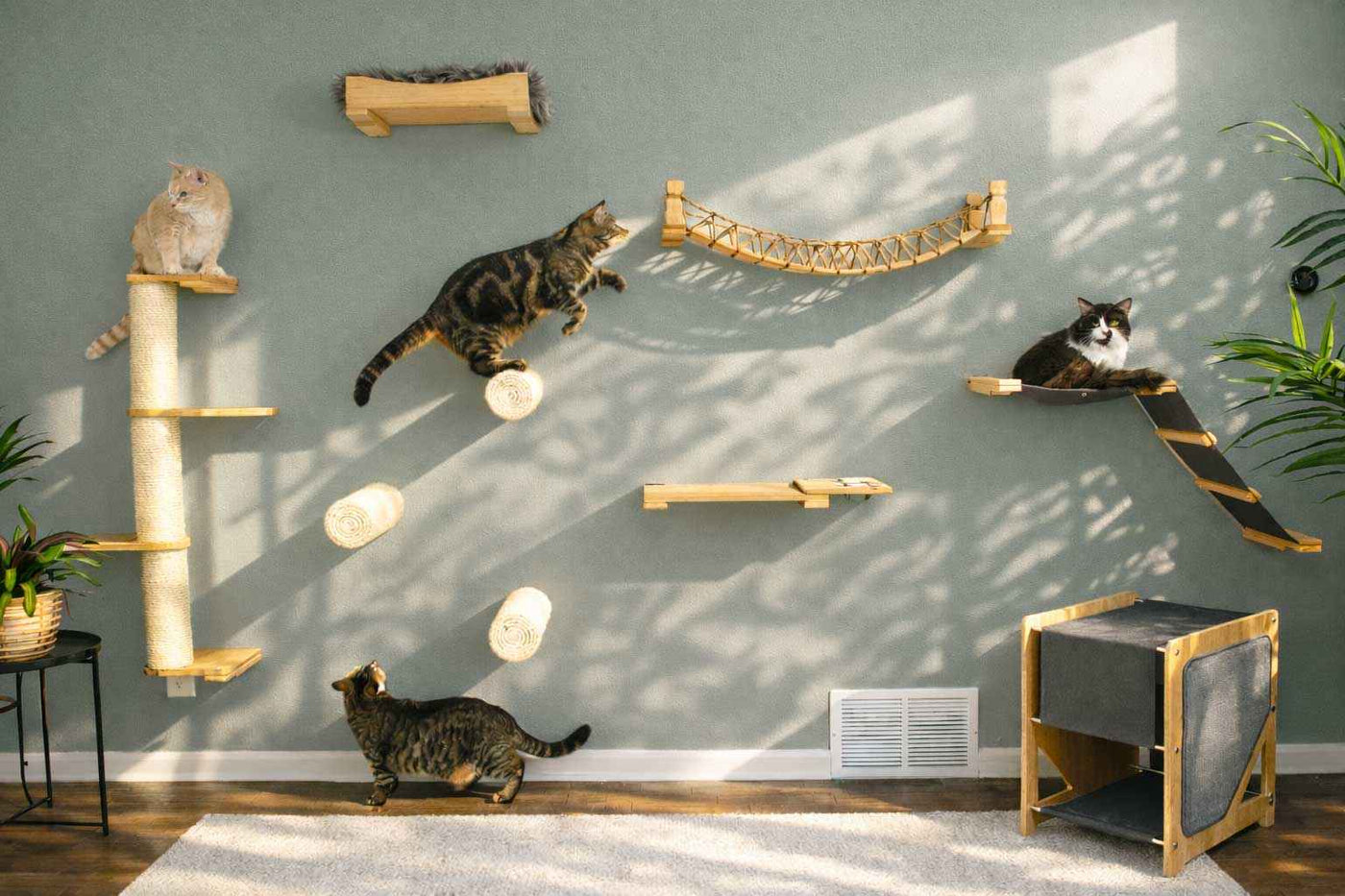 Wall-Mounted Cat Shelf