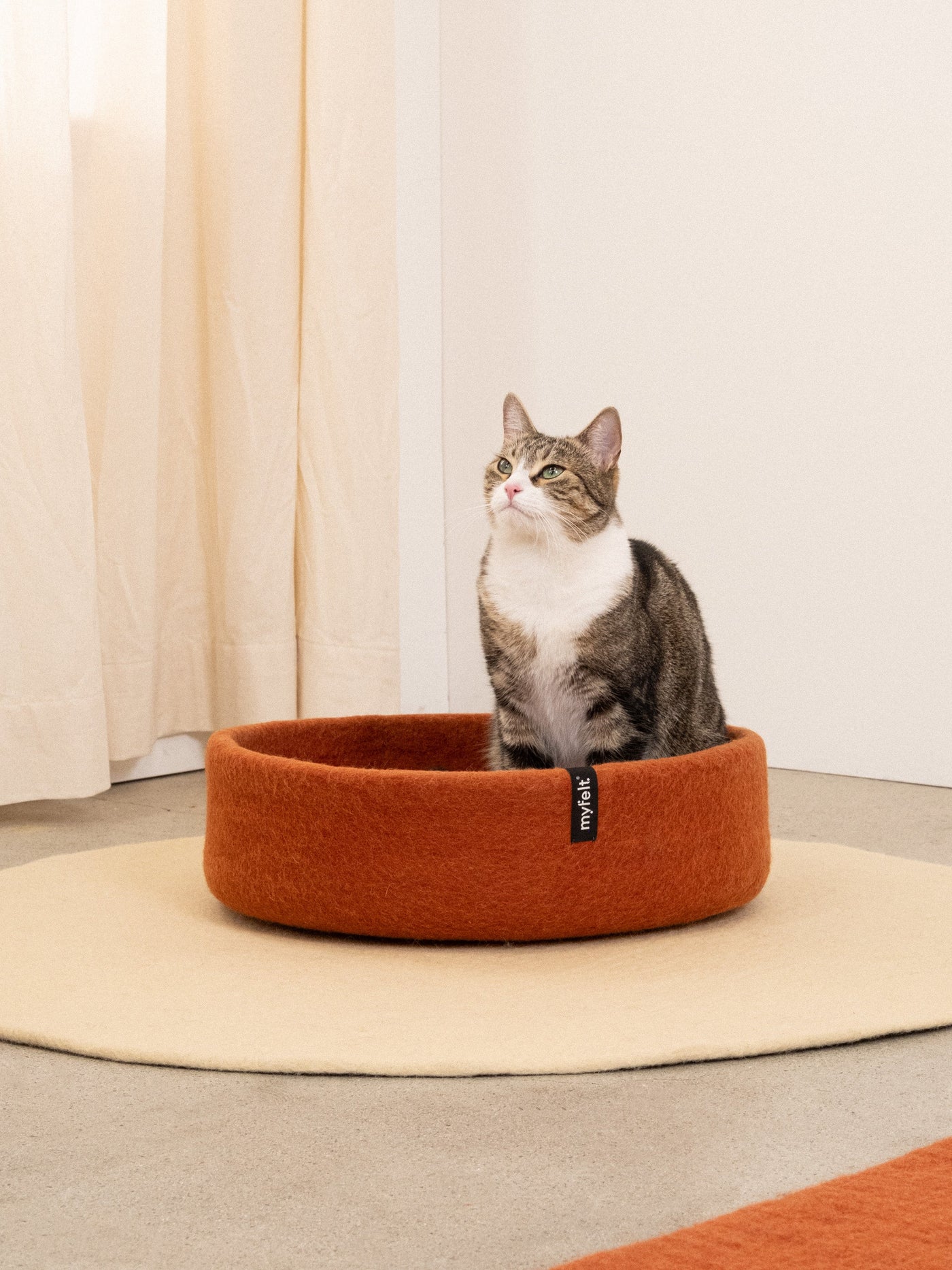 Myfelt Cat Basket