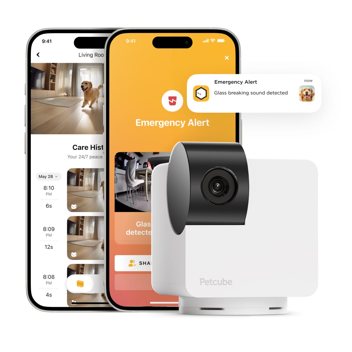 Petcube Cam 360