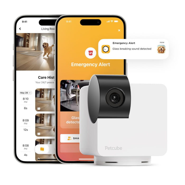 Petcube Cam 360