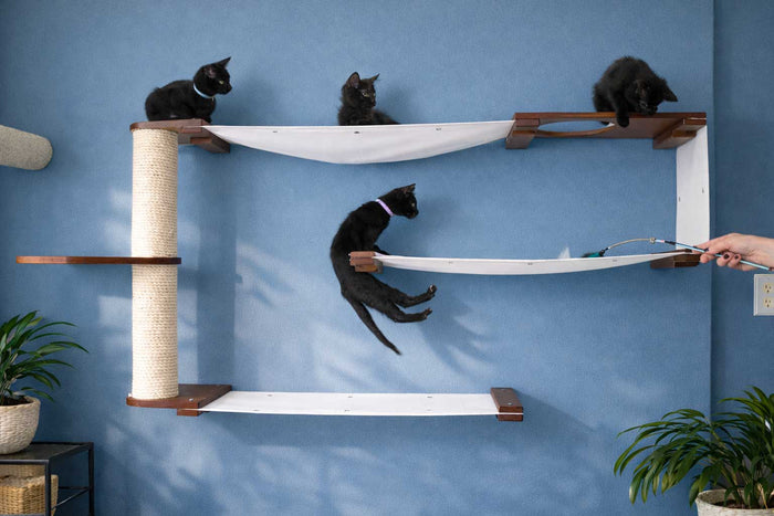Wall mounted bamboo cat maze condo with interlocking panels and a small escape hatch opening