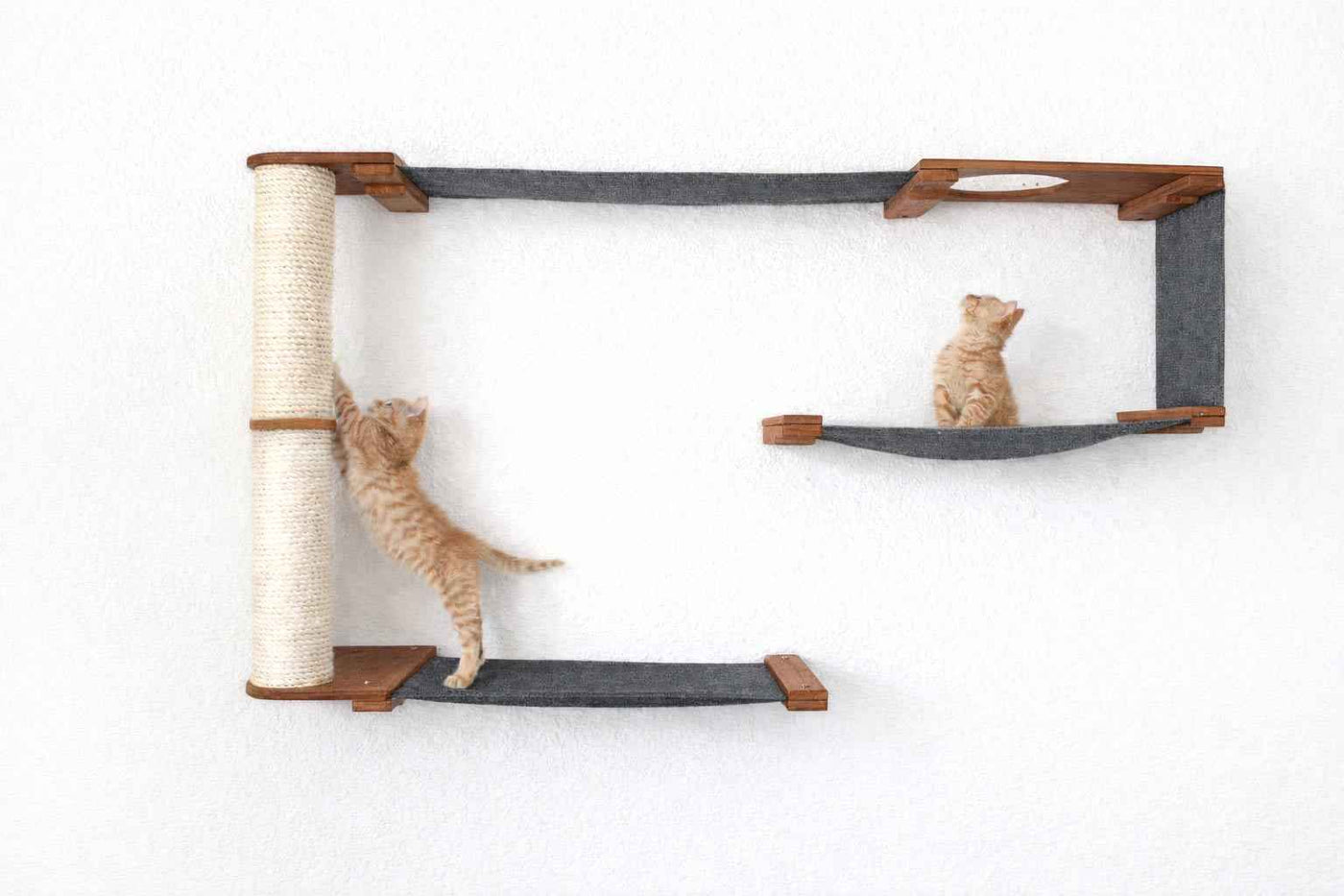 Cat Wall Maze