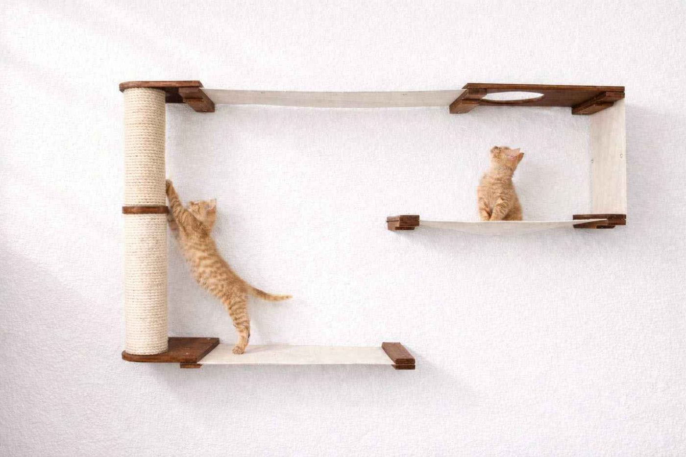 Cat Wall Maze